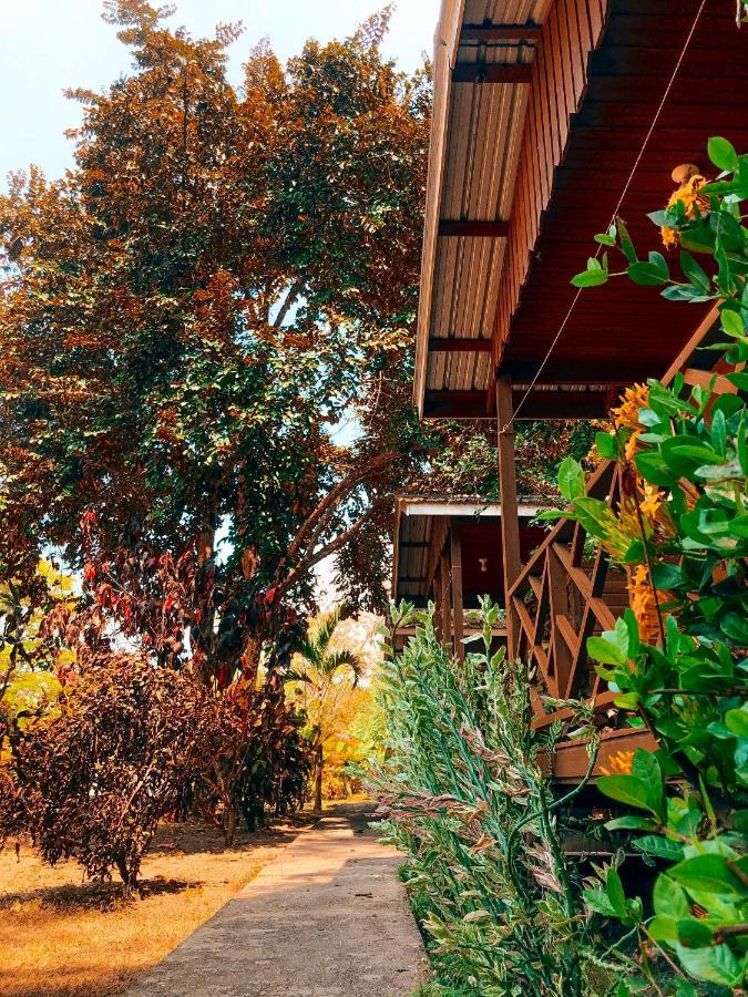 Mana Kai Camping & Cabins San Ignacio Esterno foto