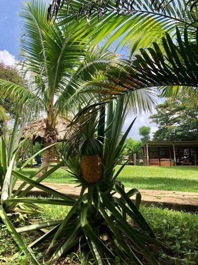 Mana Kai Camping & Cabins San Ignacio Esterno foto